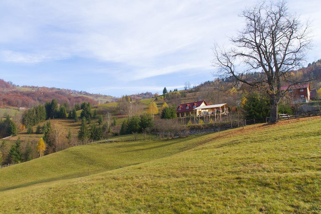 Kings Valley - Sunny Botesti Cîmpeni Extérieur photo
