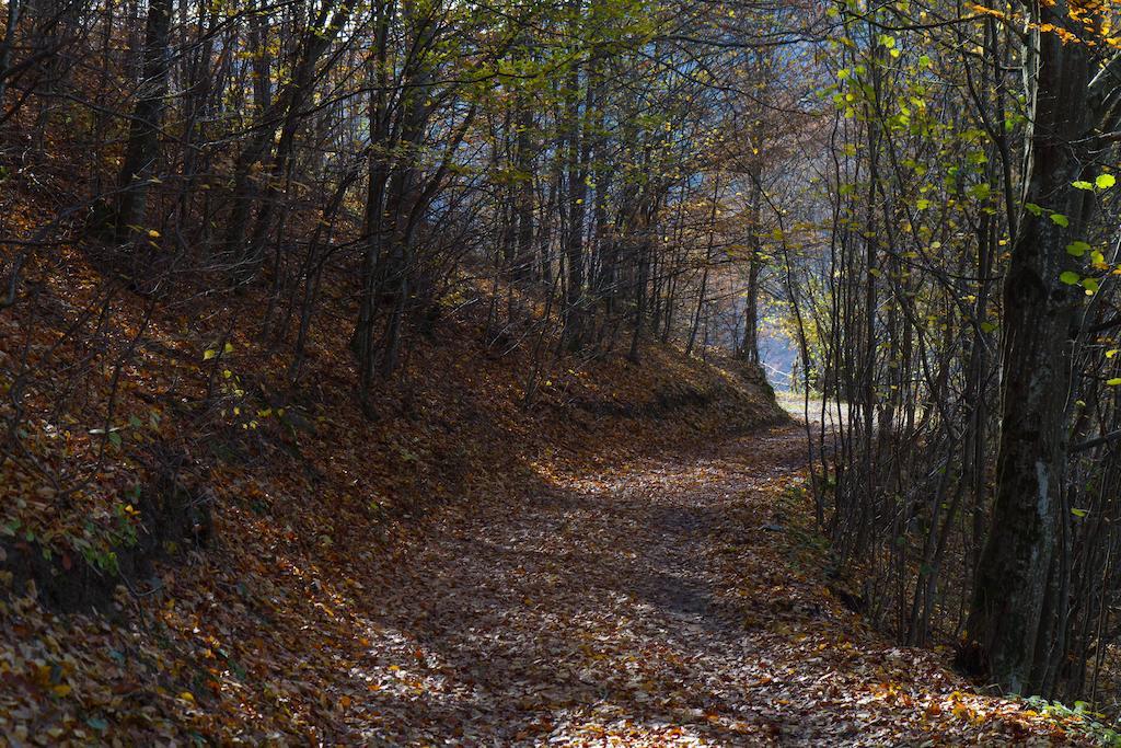 Kings Valley - Sunny Botesti Cîmpeni Extérieur photo