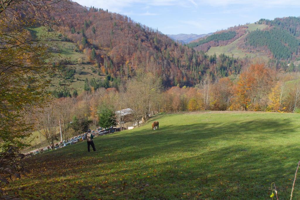 Kings Valley - Sunny Botesti Cîmpeni Extérieur photo