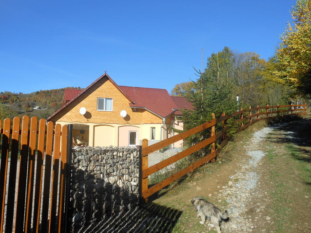 Kings Valley - Sunny Botesti Cîmpeni Extérieur photo