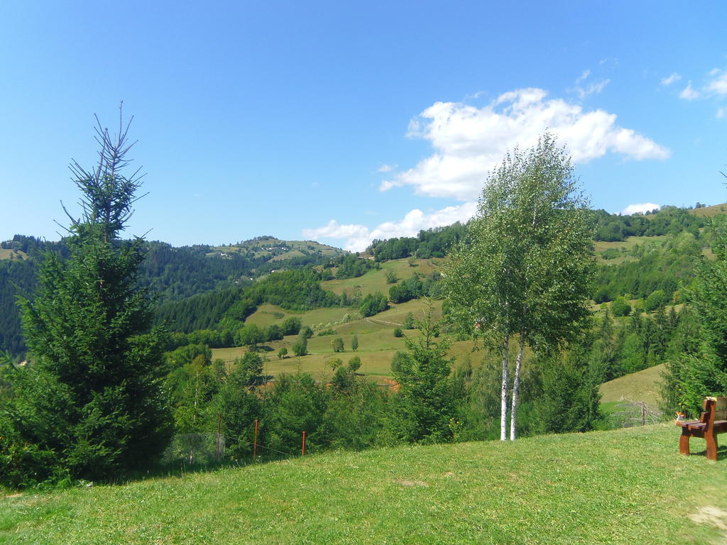 Kings Valley - Sunny Botesti Cîmpeni Extérieur photo