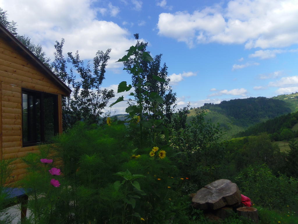Kings Valley - Sunny Botesti Cîmpeni Extérieur photo