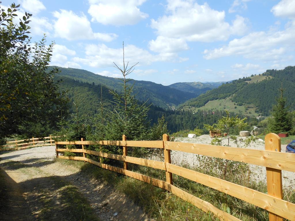Kings Valley - Sunny Botesti Cîmpeni Extérieur photo