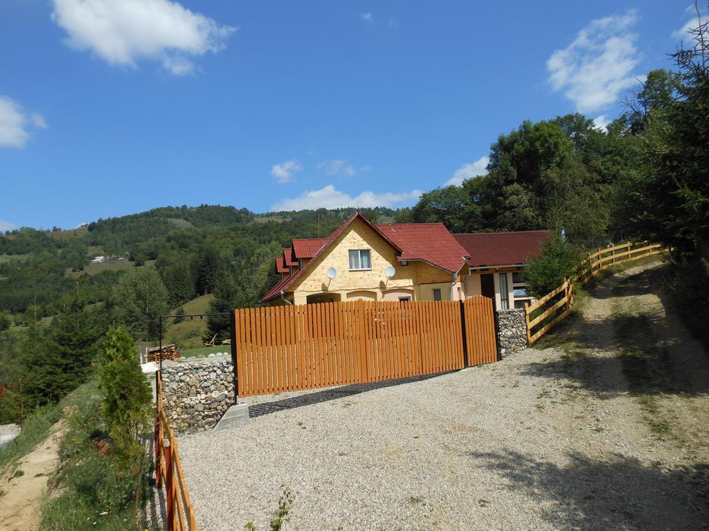 Kings Valley - Sunny Botesti Cîmpeni Extérieur photo